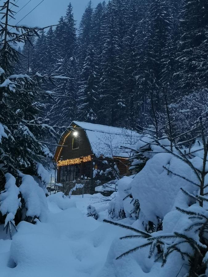 Гостьовий Дім Секвойя Verkhnyaya Bystra Exteriör bild