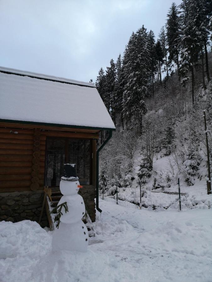 Гостьовий Дім Секвойя Verkhnyaya Bystra Exteriör bild