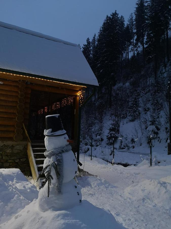 Гостьовий Дім Секвойя Verkhnyaya Bystra Exteriör bild